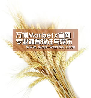 万博Manbetx官网｜专业体育投注与娱乐平台 | Manbetx