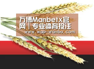 万博Manbetx官网｜专业体育投注与娱乐平台 | Manbetx