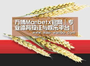 万博Manbetx官网｜专业体育投注与娱乐平台 | Manbetx